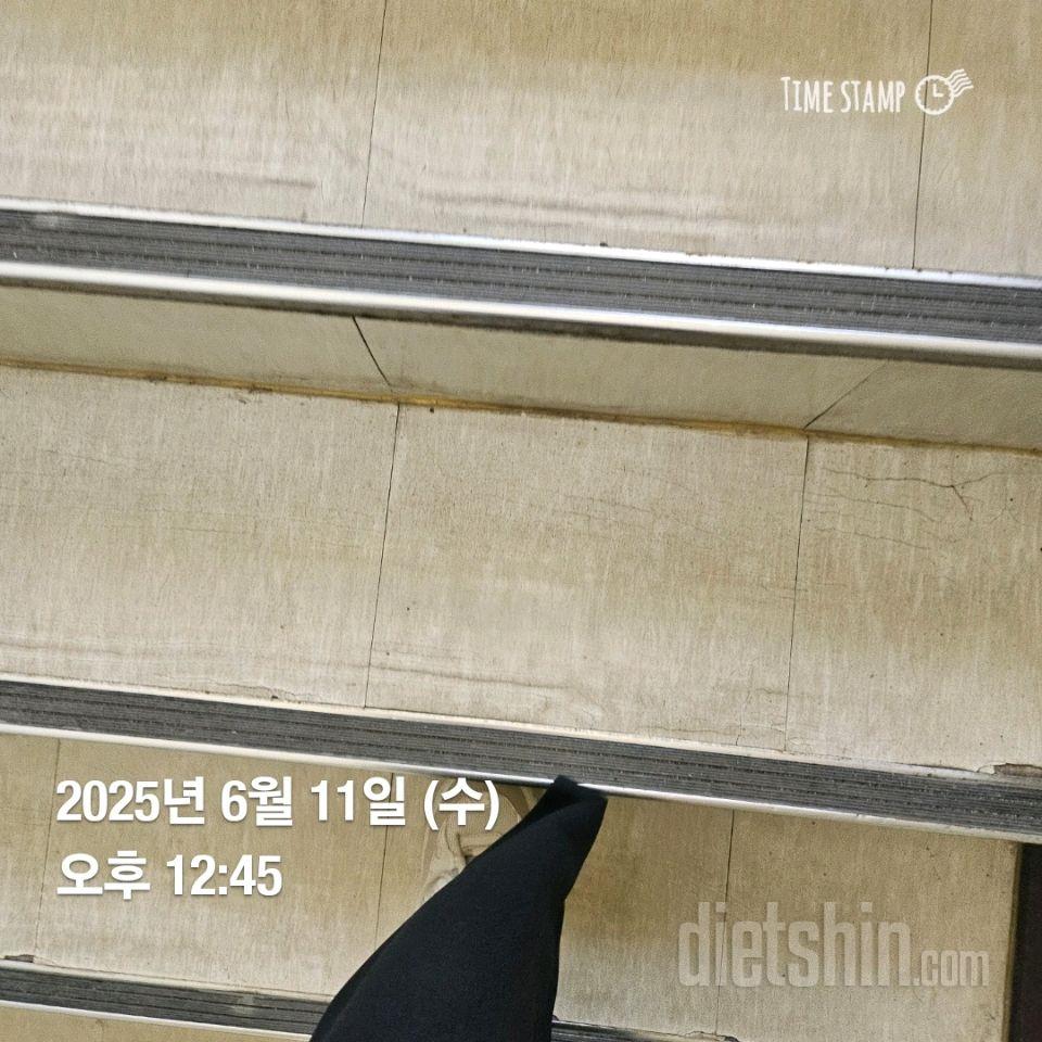 15일 계단 오르기5일차 성공!