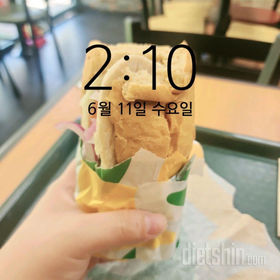 25년 6월 11일 수요일
