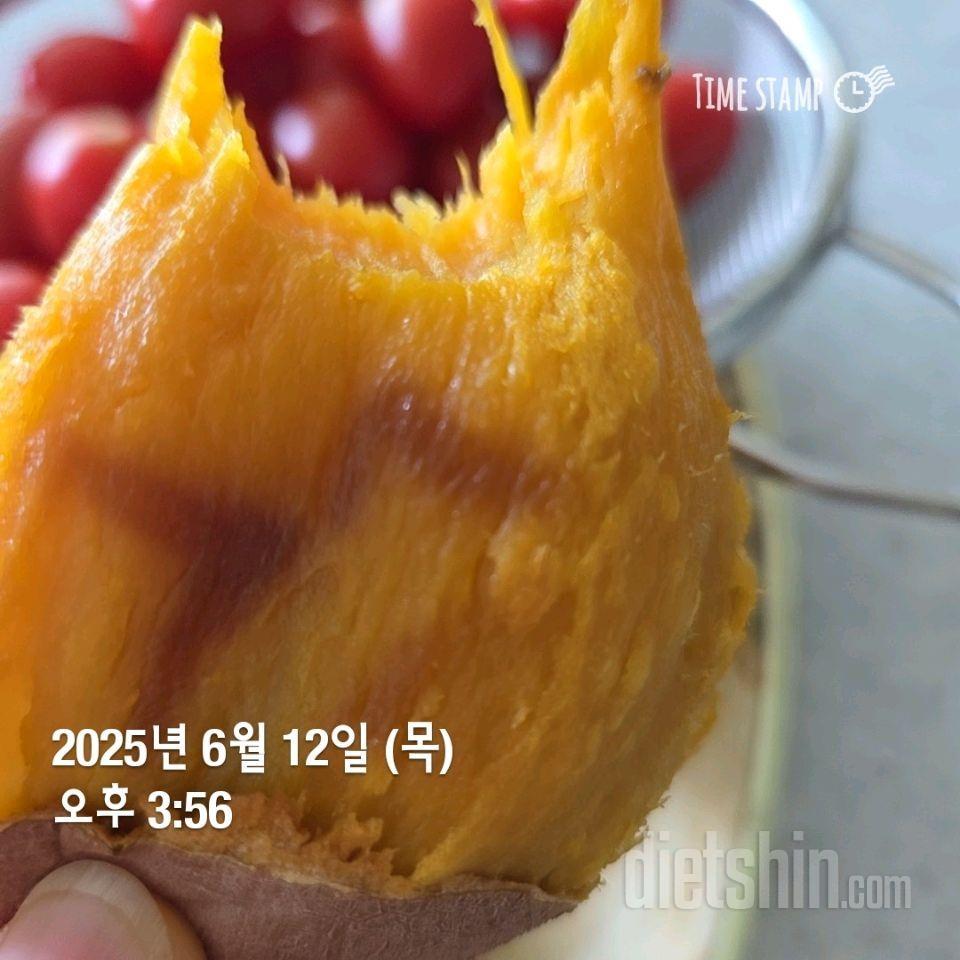 302일차