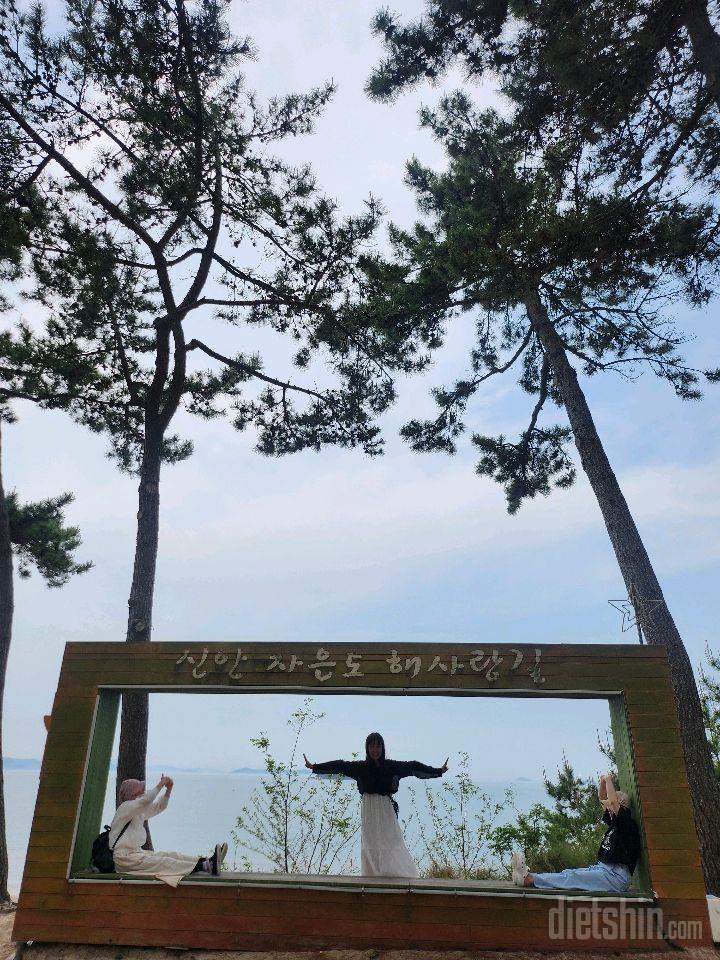 다시 4일차