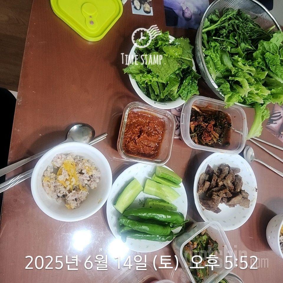 7일 하루 1끼 야채먹기444일차 성공!