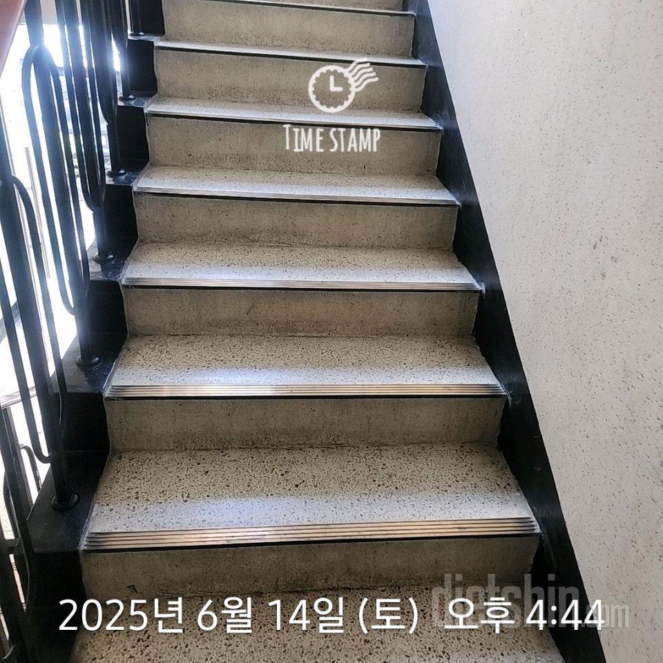 15일 계단 오르기228일차 성공!