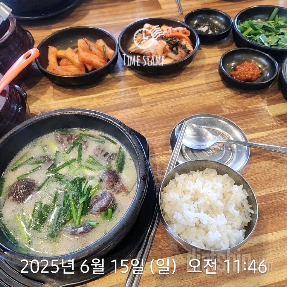 15일 3끼 식단 챌린지229일차 성공!