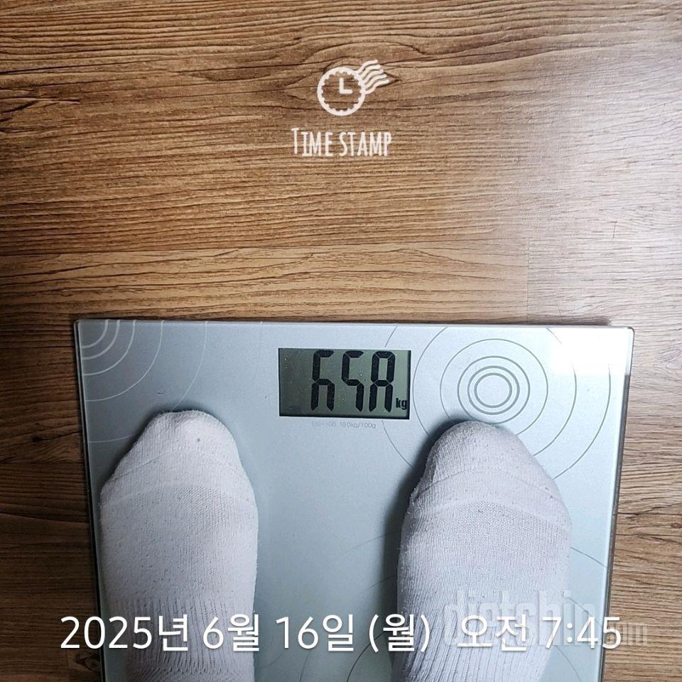 7일 아침 몸무게 재기453일차 성공!