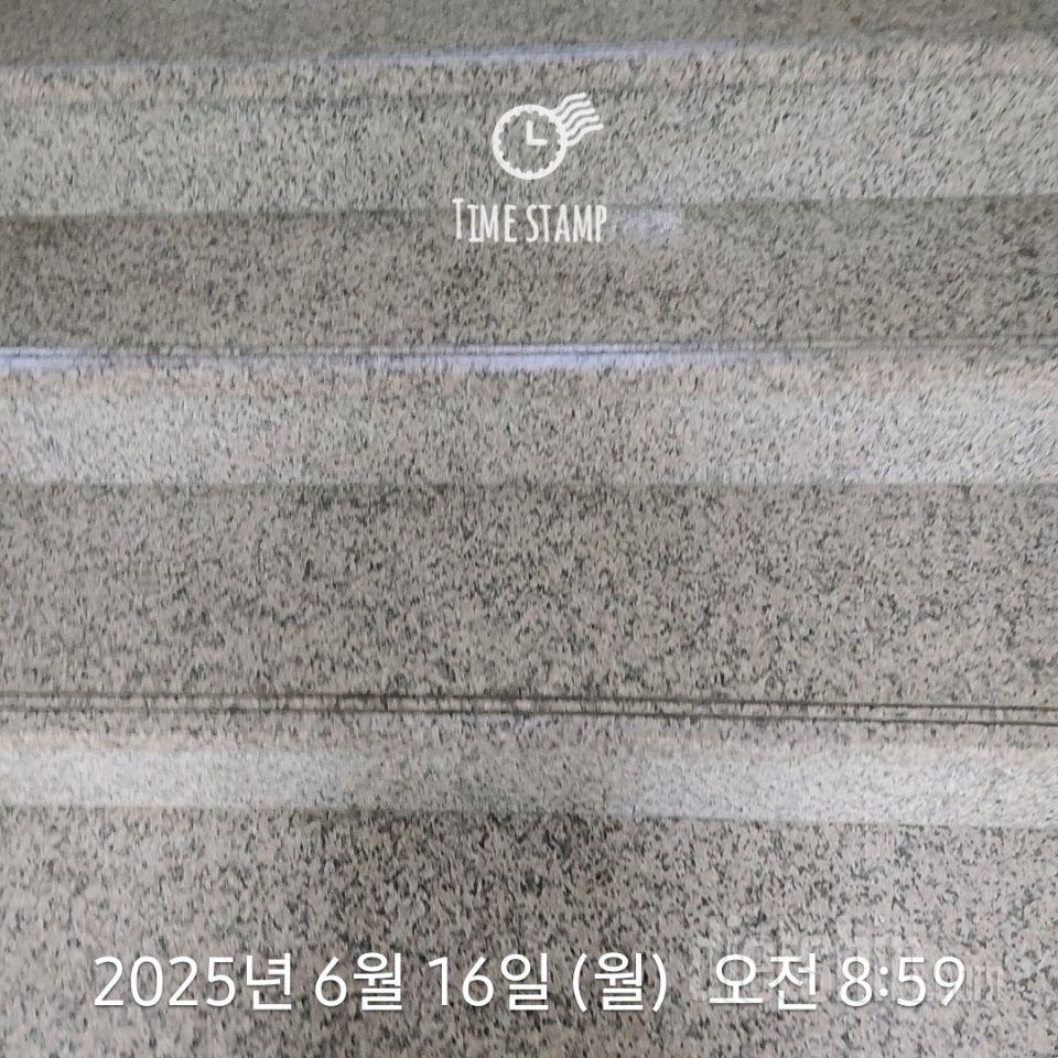 15일 계단 오르기230일차 성공!
