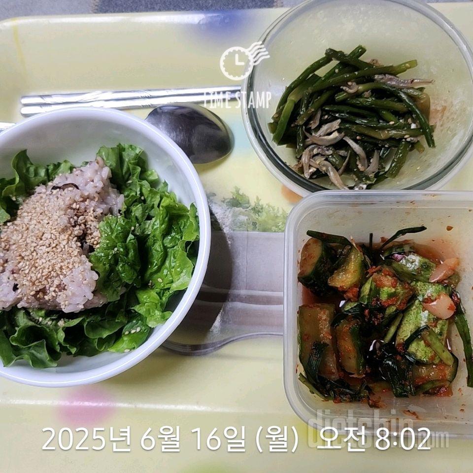 15일 3끼 식단 챌린지230일차 성공!