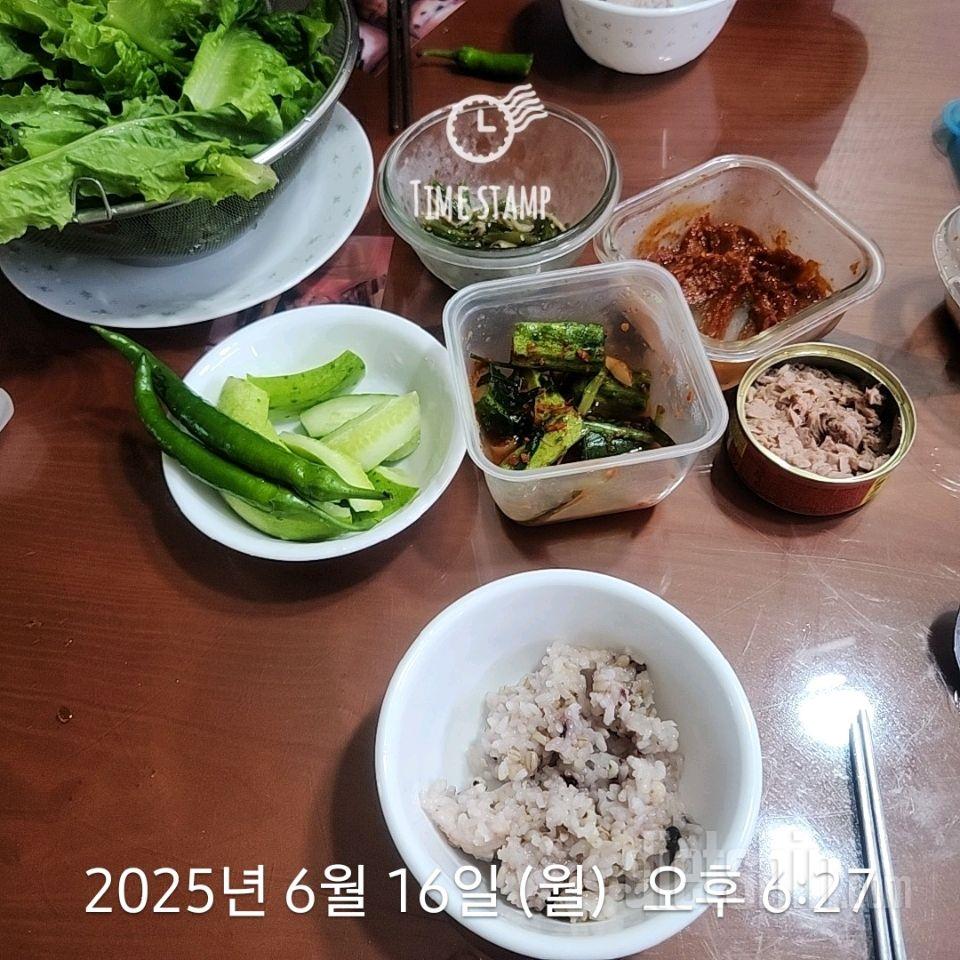 15일 3끼 식단 챌린지230일차 성공!