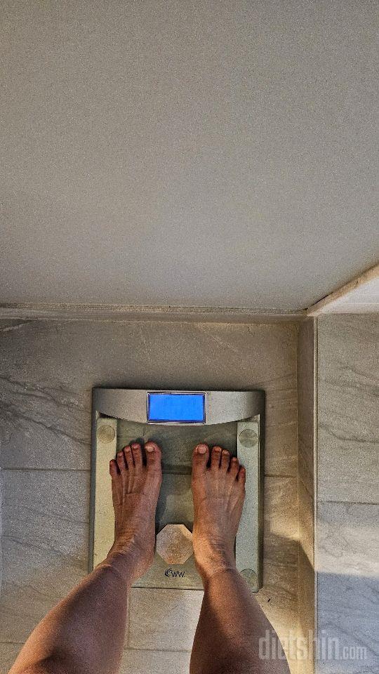 7일 아침 몸무게 재기7일차 성공!