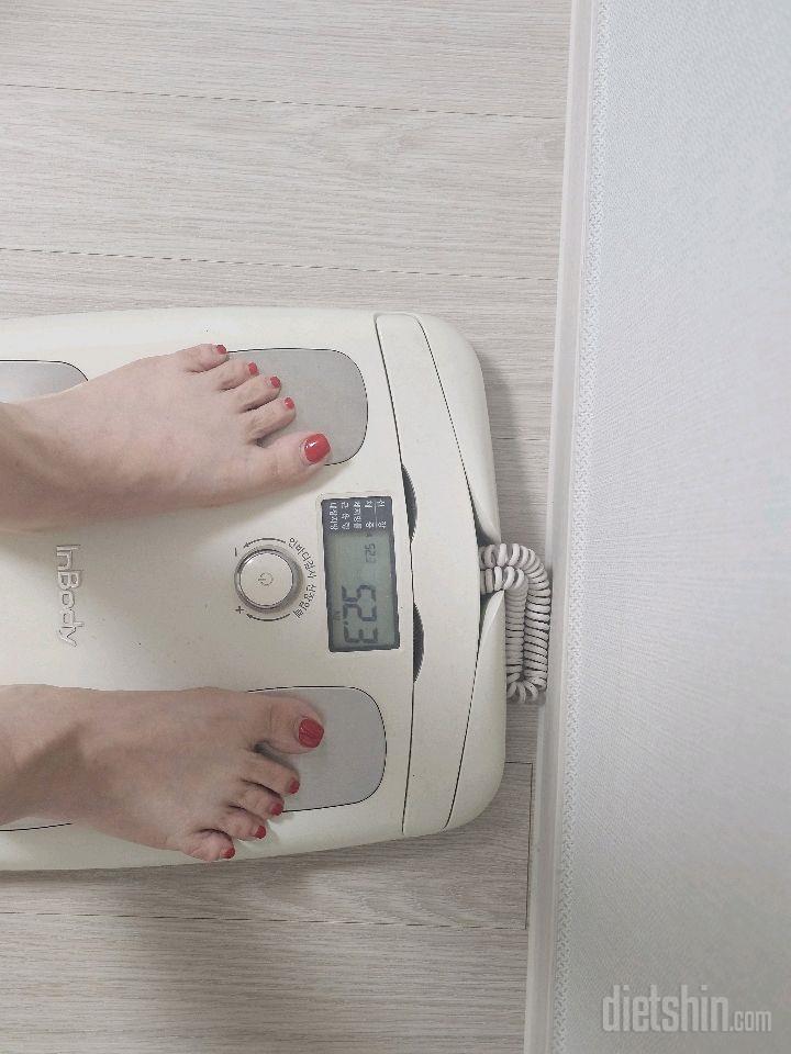 7일 아침 몸무게 재기2일차 성공!