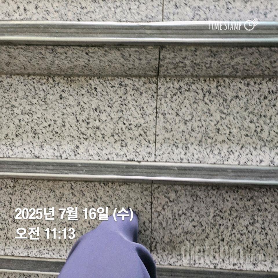 15일 계단 오르기16일차 성공!