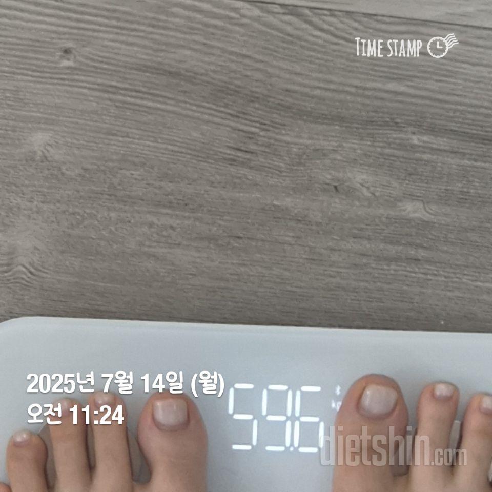 포켓 샐러드 점심 저녁으로 먹고 있는