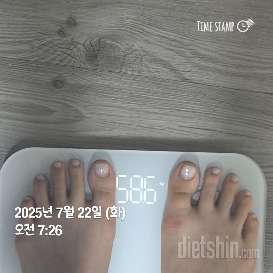 포켓 샐러드 점심 저녁으로 먹고 있는