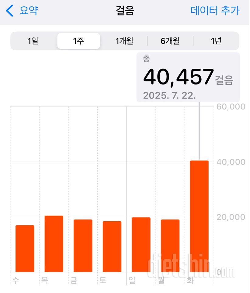 30일 만보 걷기2004일차 성공!