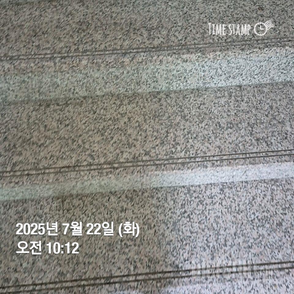 15일 계단 오르기239일차 성공!