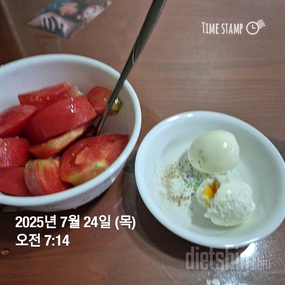 15일 3끼 식단 챌린지241일차 성공!