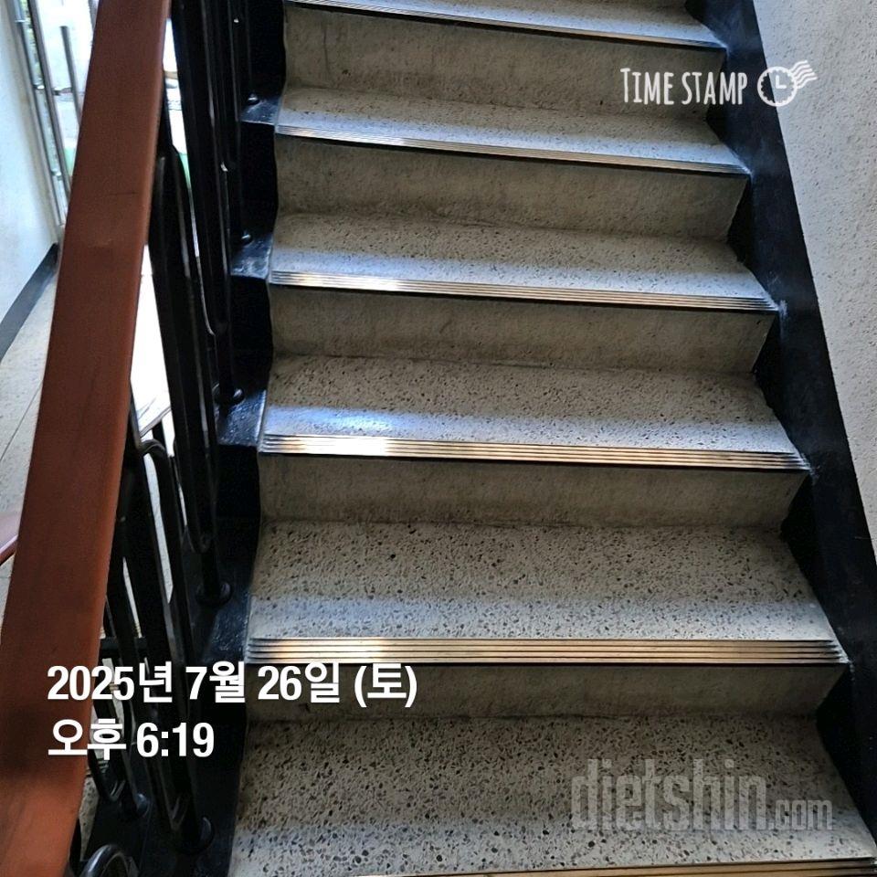 15일 계단 오르기243일차 성공!