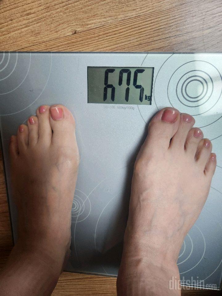 7일 아침 몸무게 재기481일차 성공!