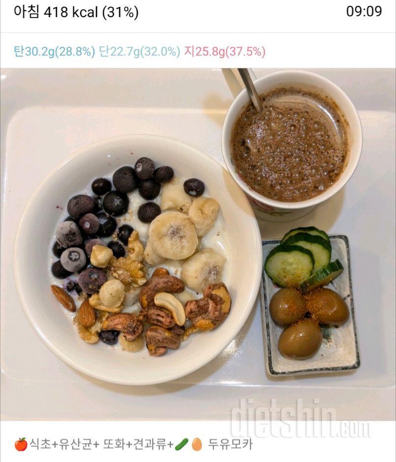 2519일차 식단