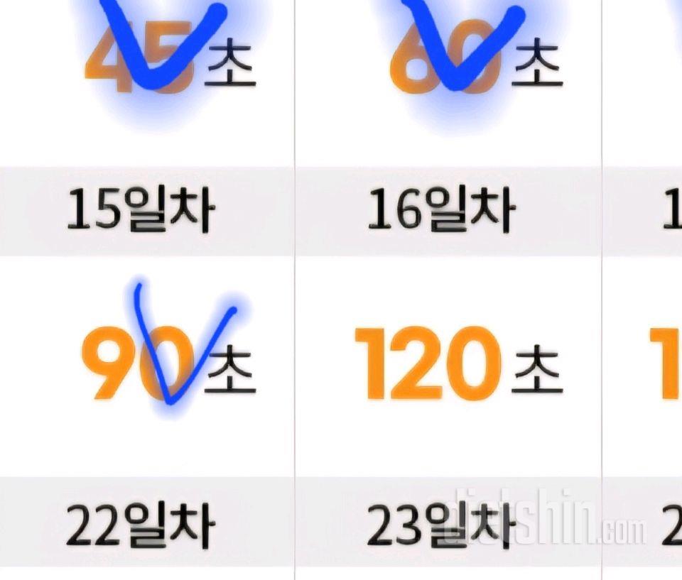 30일 플랭크15일차 성공!