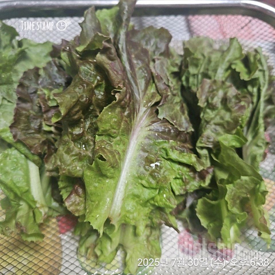 7일 하루 1끼 야채먹기8일차 성공!