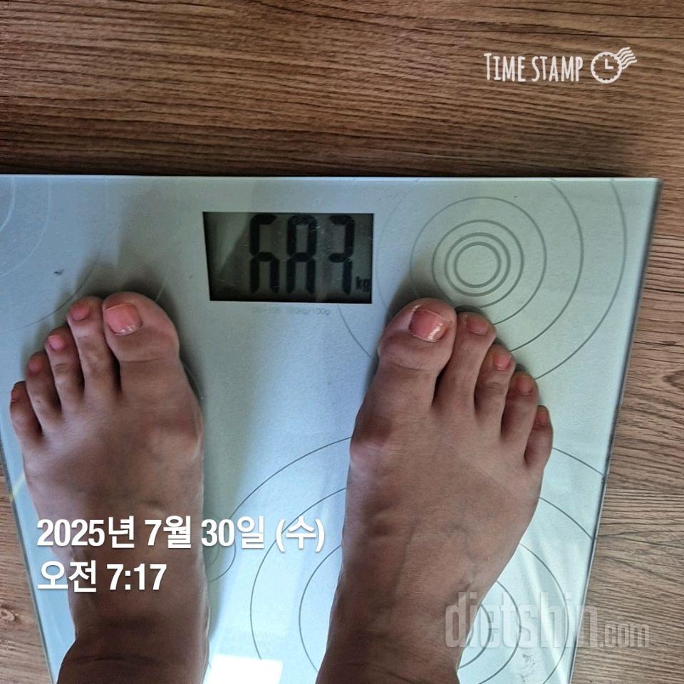 7일 아침 몸무게 재기484일차 성공!