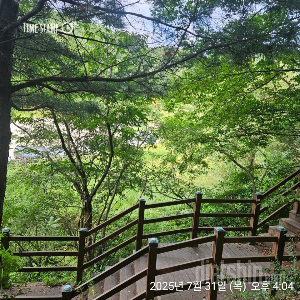 15일 계단 오르기2일차 성공!