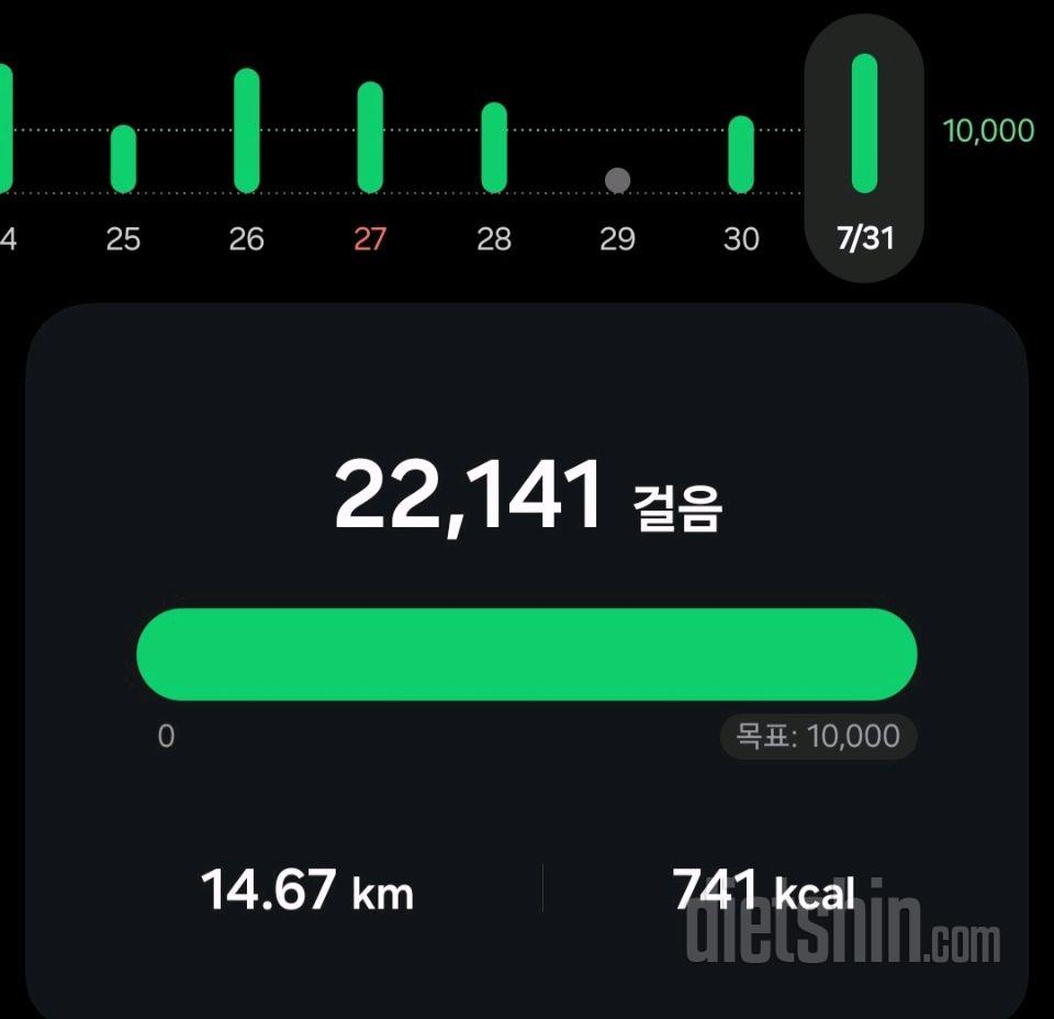 30일 만보 걷기9일차 성공!