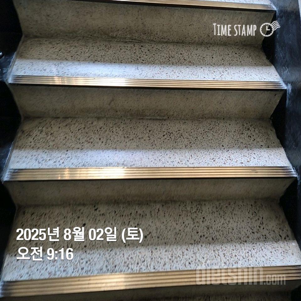 15일 계단 오르기241일차 성공!
