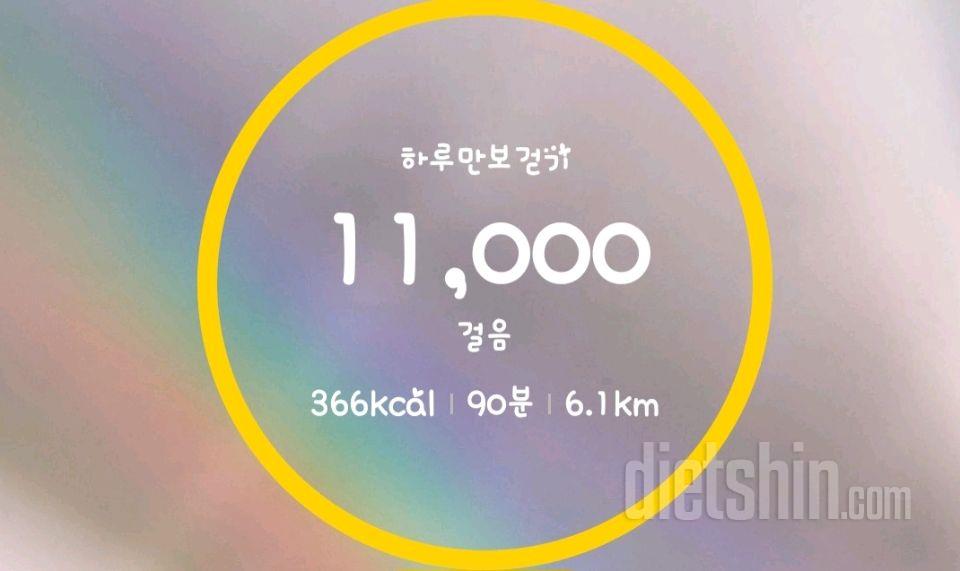 8/2일 식단
