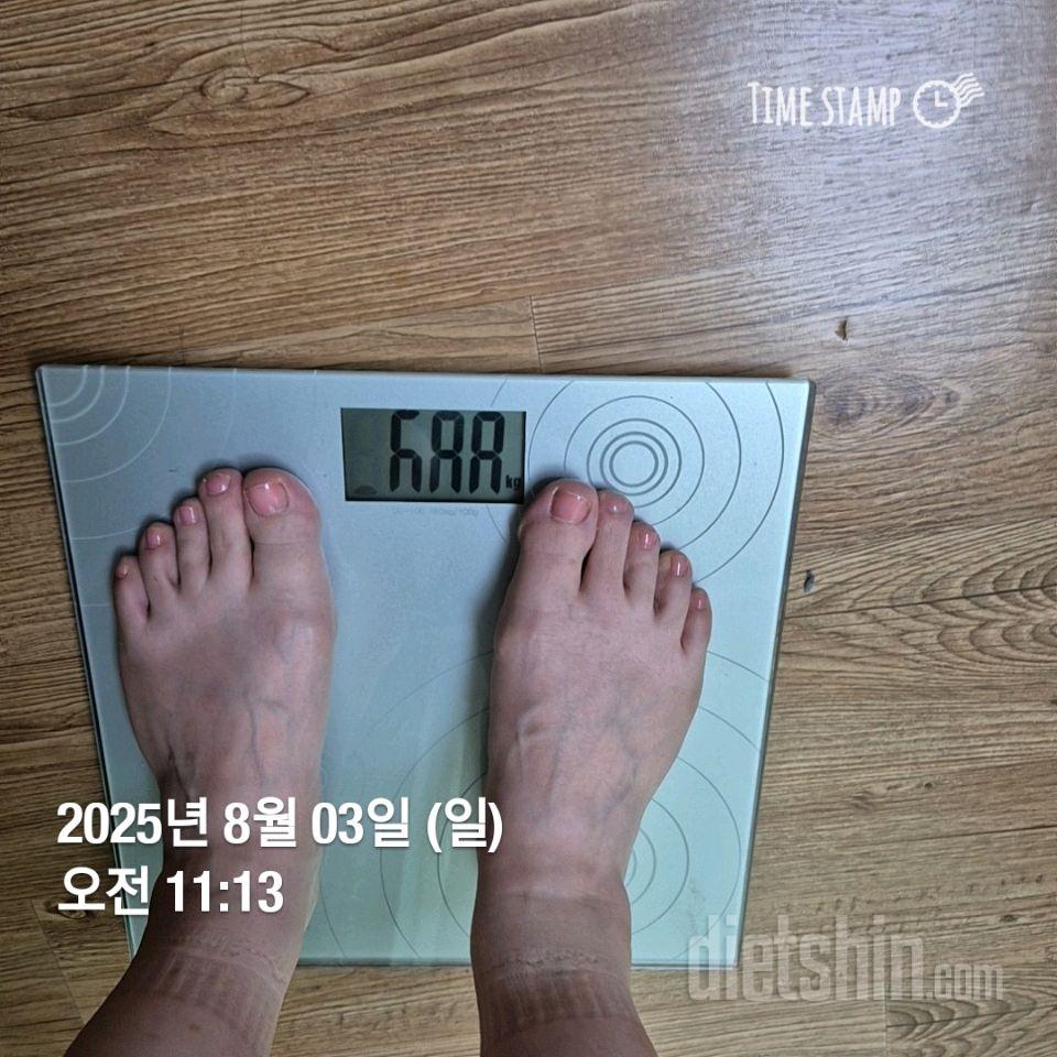 7일 아침 몸무게 재기485일차 성공!