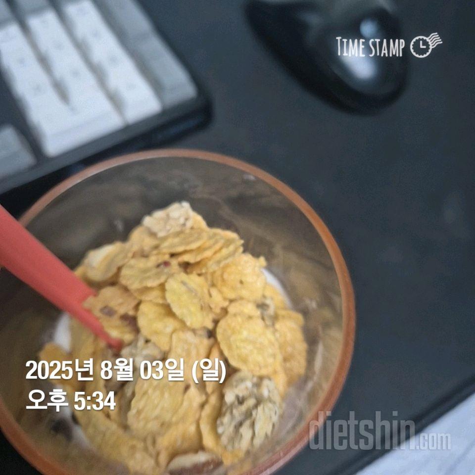 15일 3끼 식단 챌린지242일차 성공!