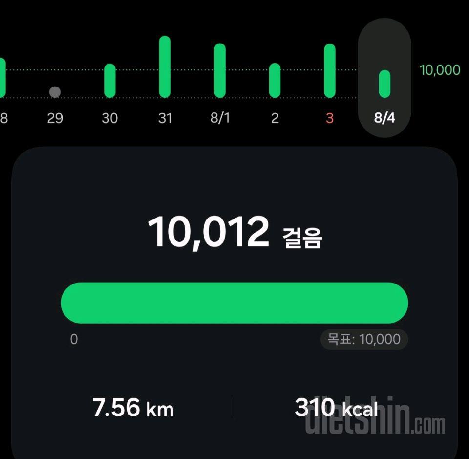 30일 만보 걷기13일차 성공!