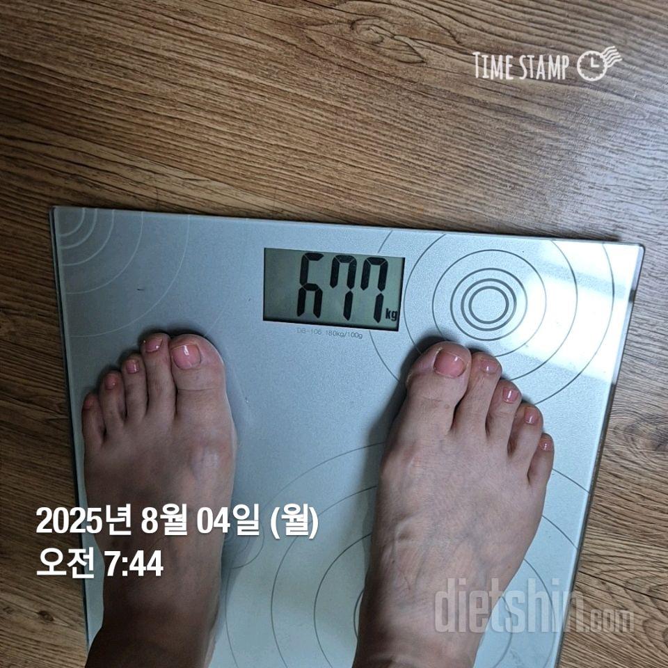 7일 아침 몸무게 재기486일차 성공!
