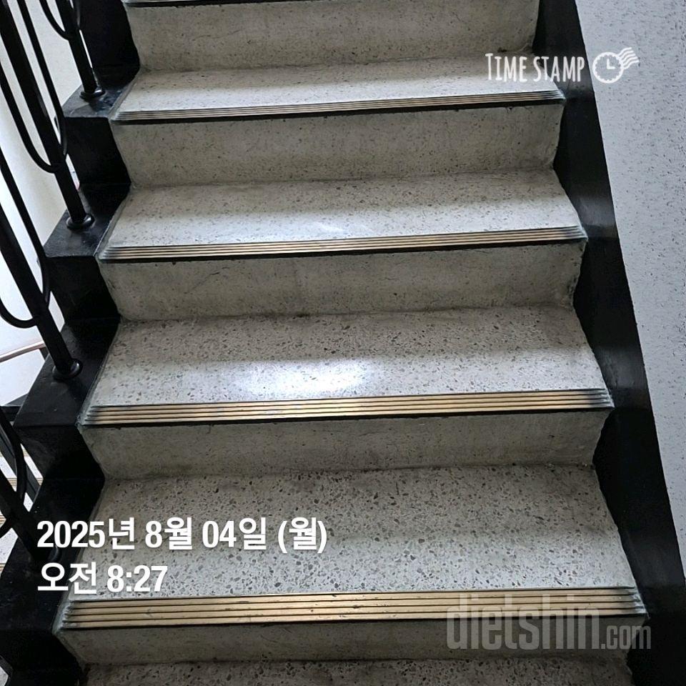 15일 계단 오르기243일차 성공!