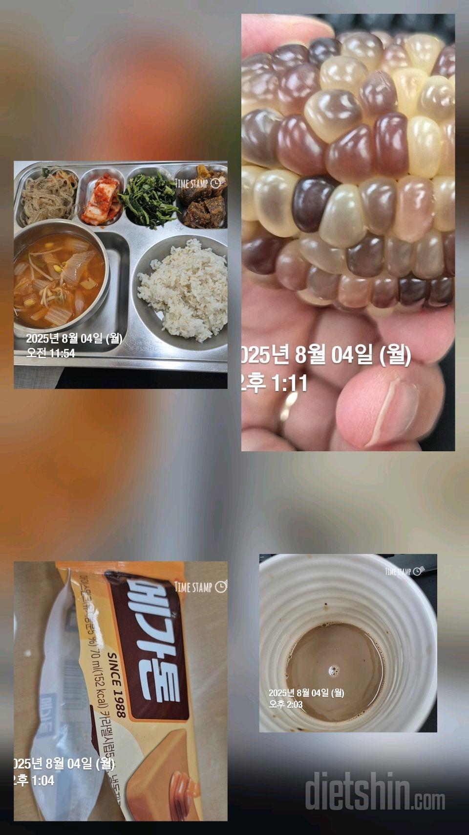 15일 3끼 식단 챌린지243일차 성공!