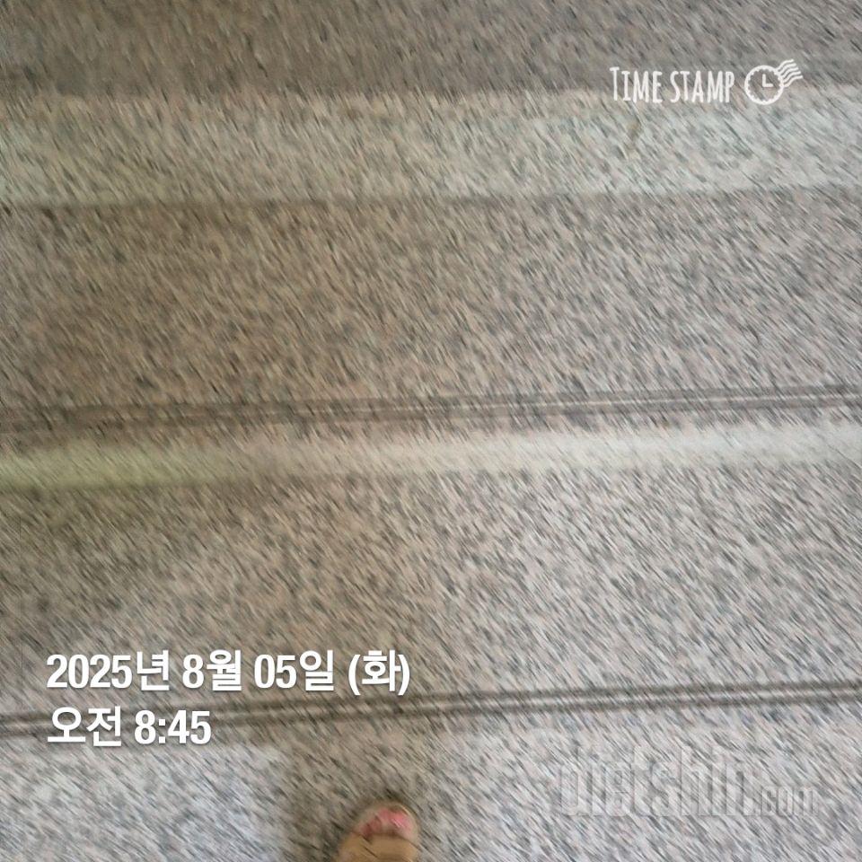 15일 계단 오르기244일차 성공!
