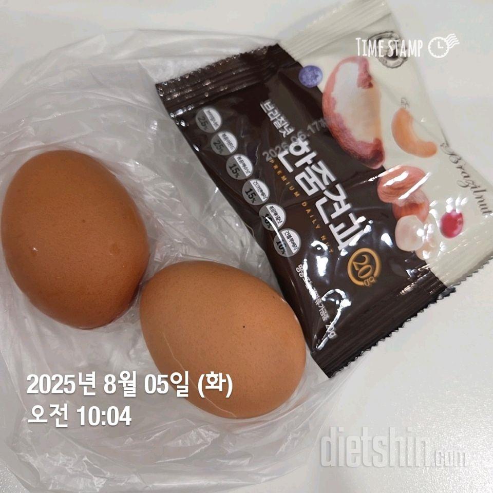 355일차