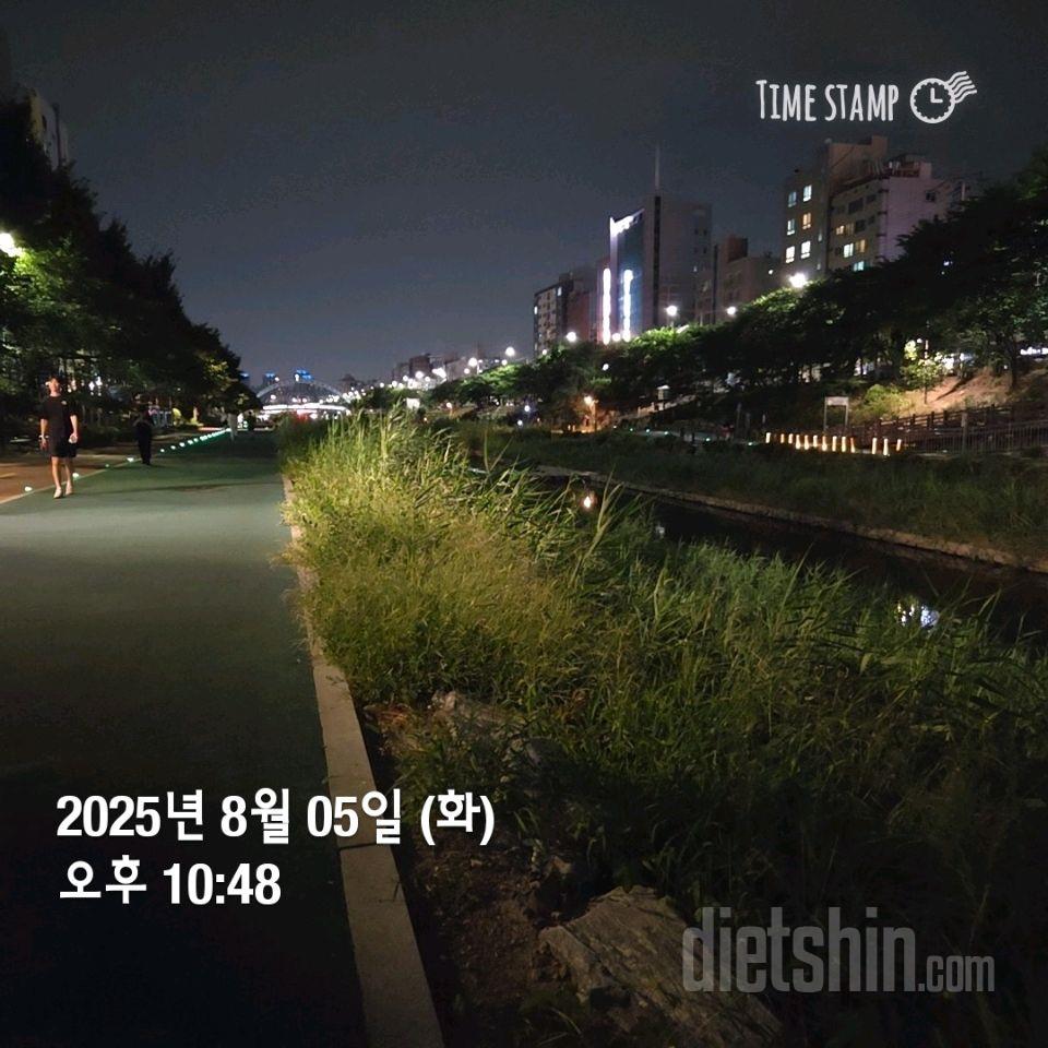 355일차