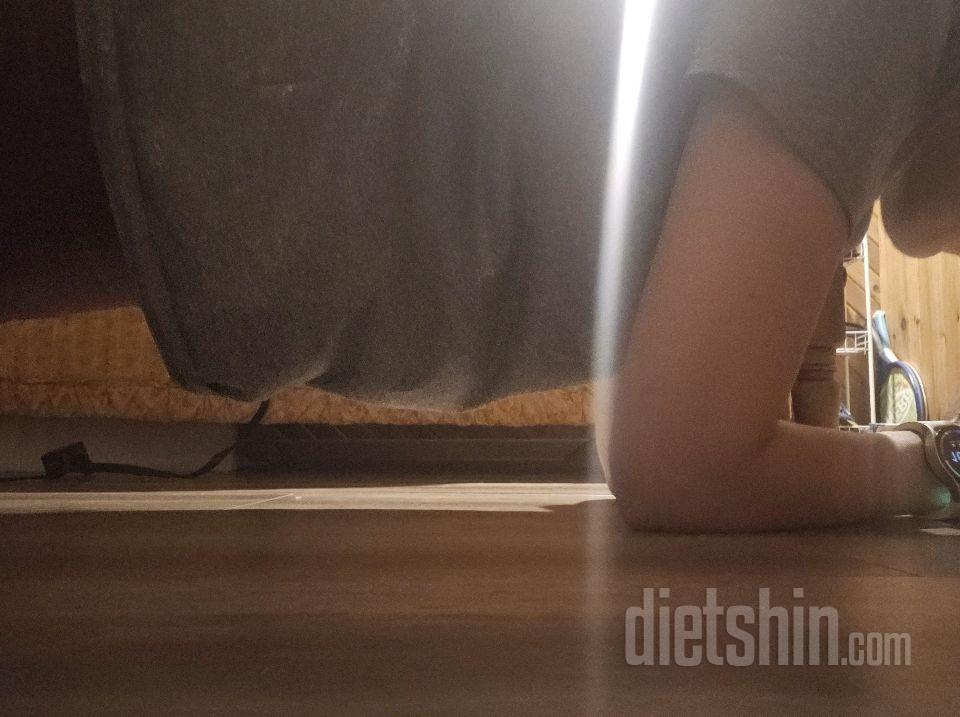 30일 플랭크28일차 성공!