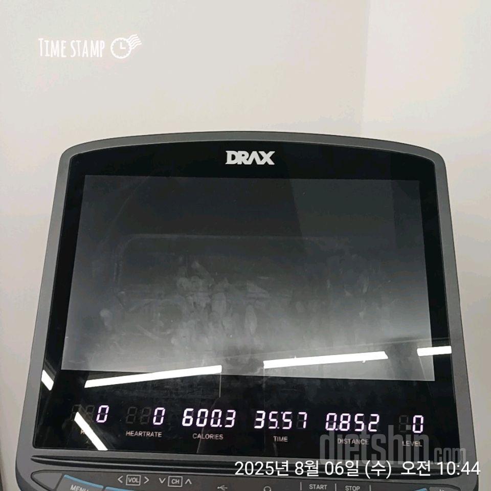 8월6일