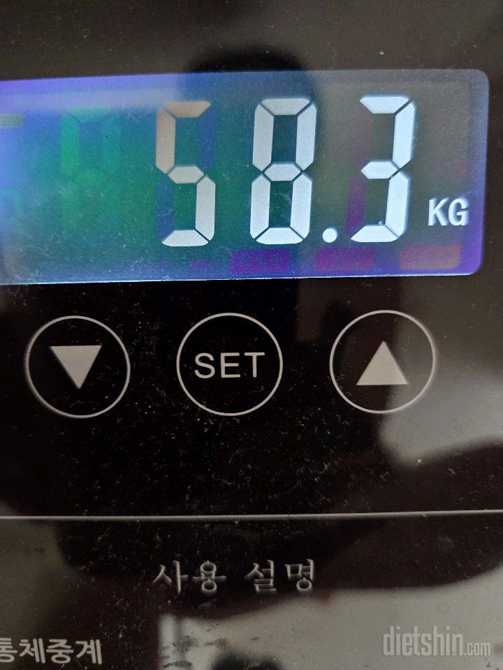 7일 아침 몸무게 재기81일차 성공!