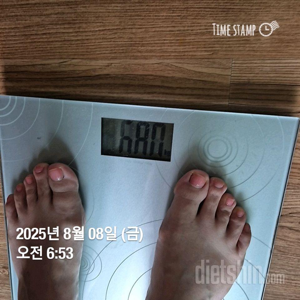7일 아침 몸무게 재기490일차 성공!