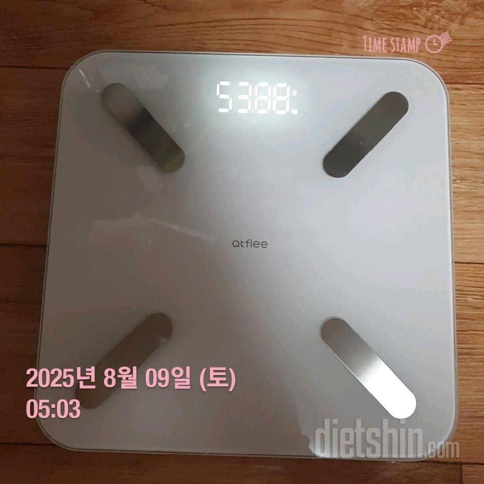 8월 9일 공체