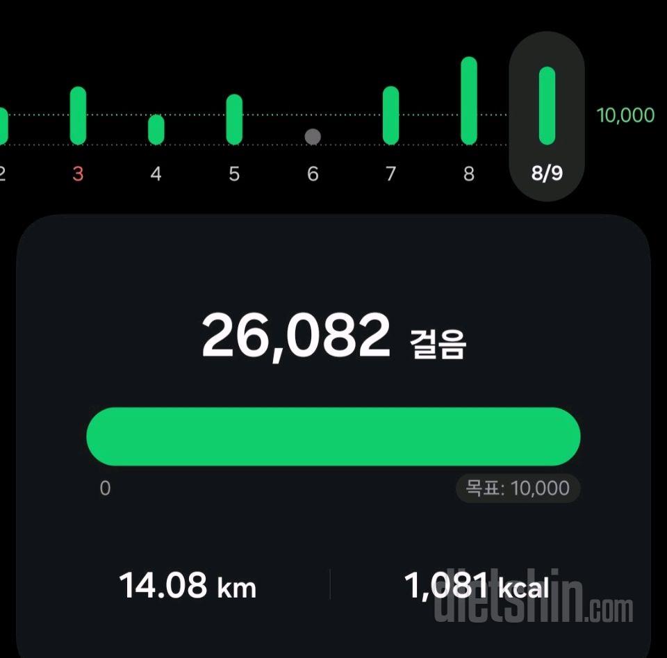 30일 만보 걷기17일차 성공!