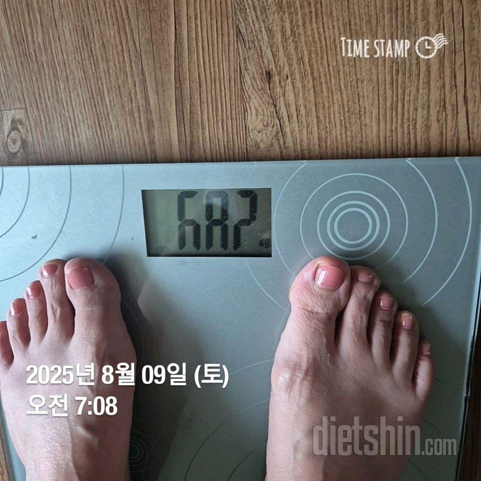 7일 아침 몸무게 재기491일차 성공!