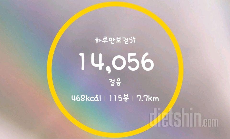 8/11일 식단