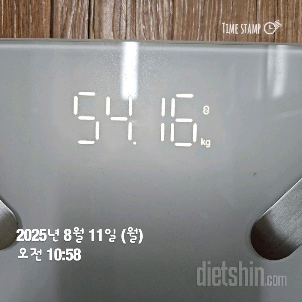 8/11일 식단