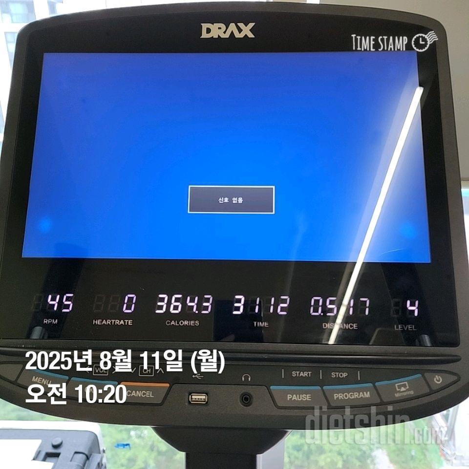 8.11.월