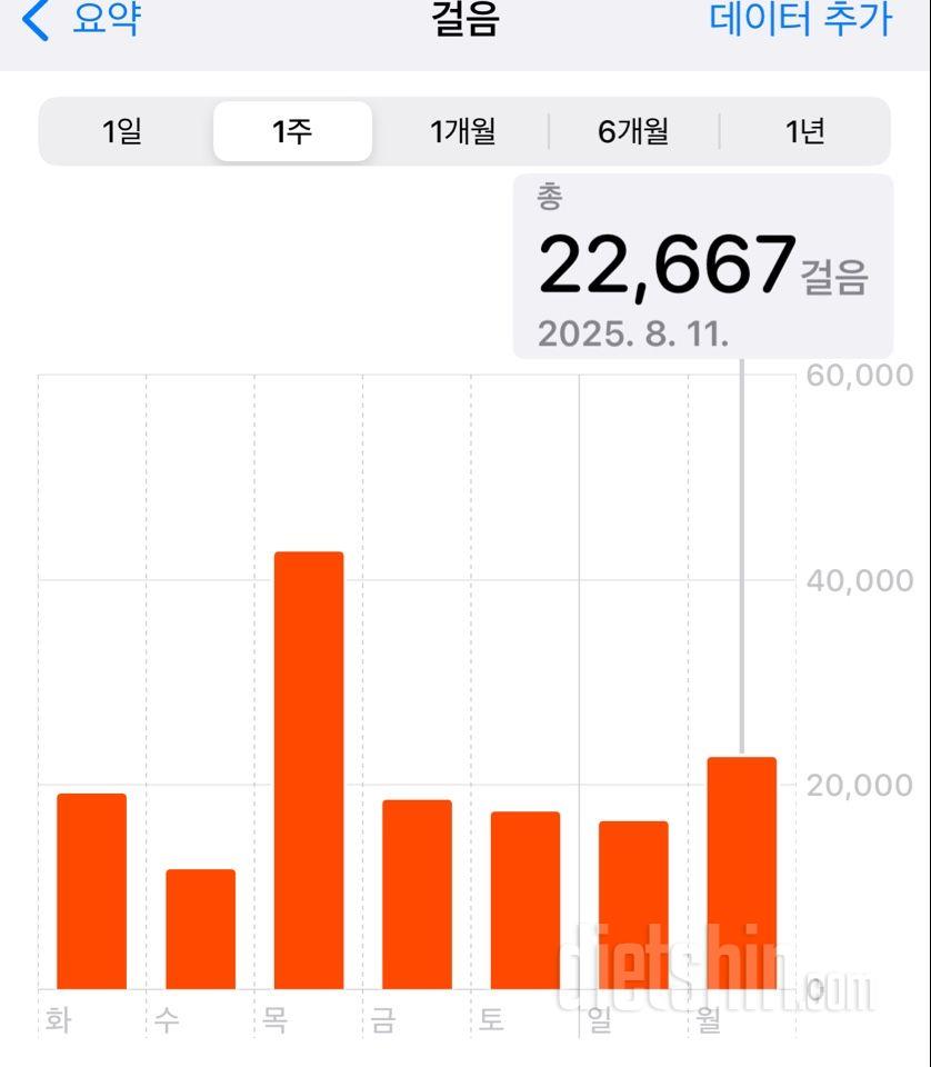 30일 만보 걷기2020일차 성공!