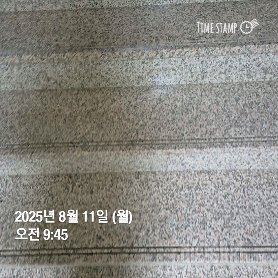 15일 계단 오르기241일차 성공!